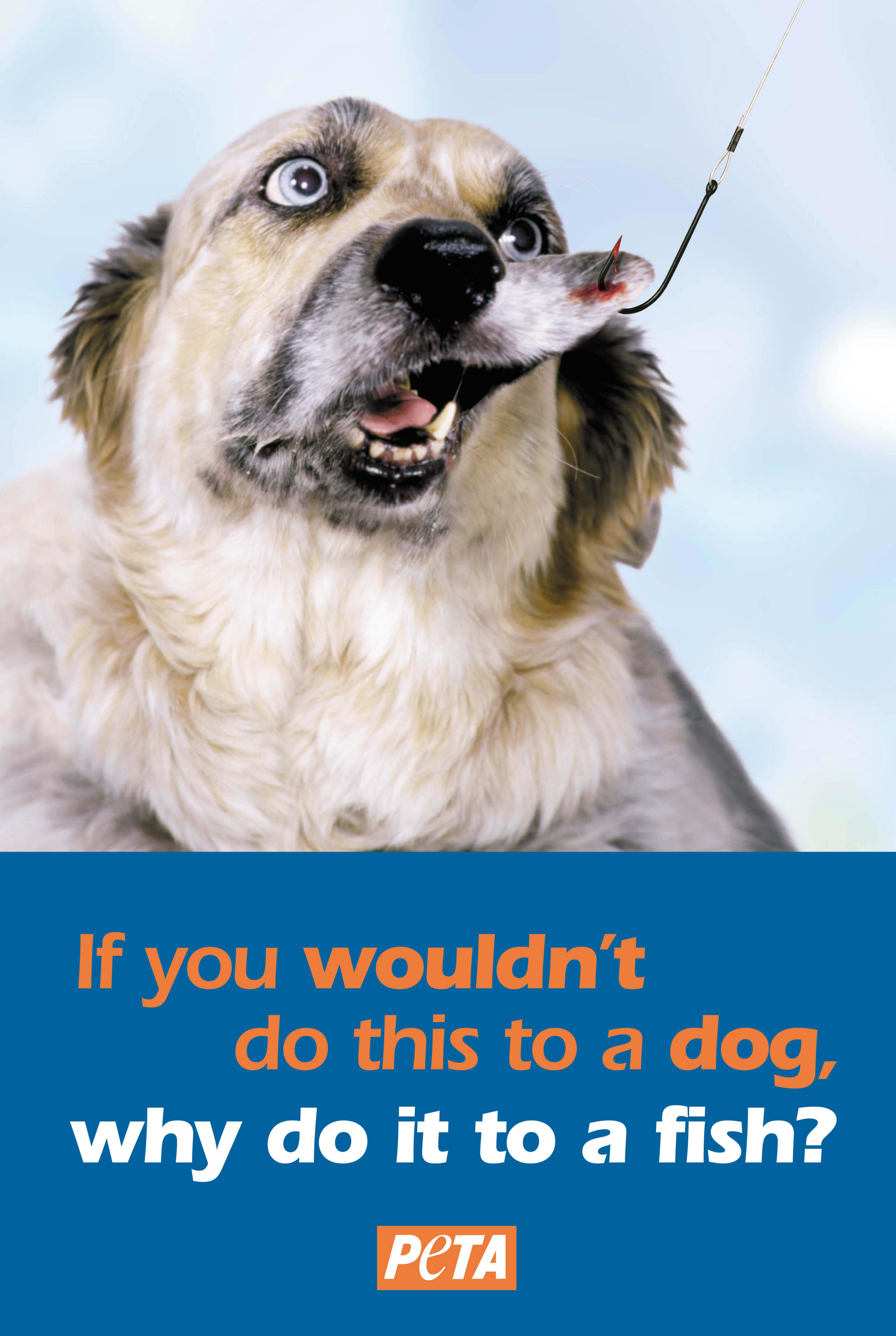 Fishing is barbaric and cruel.
Click here for more information.